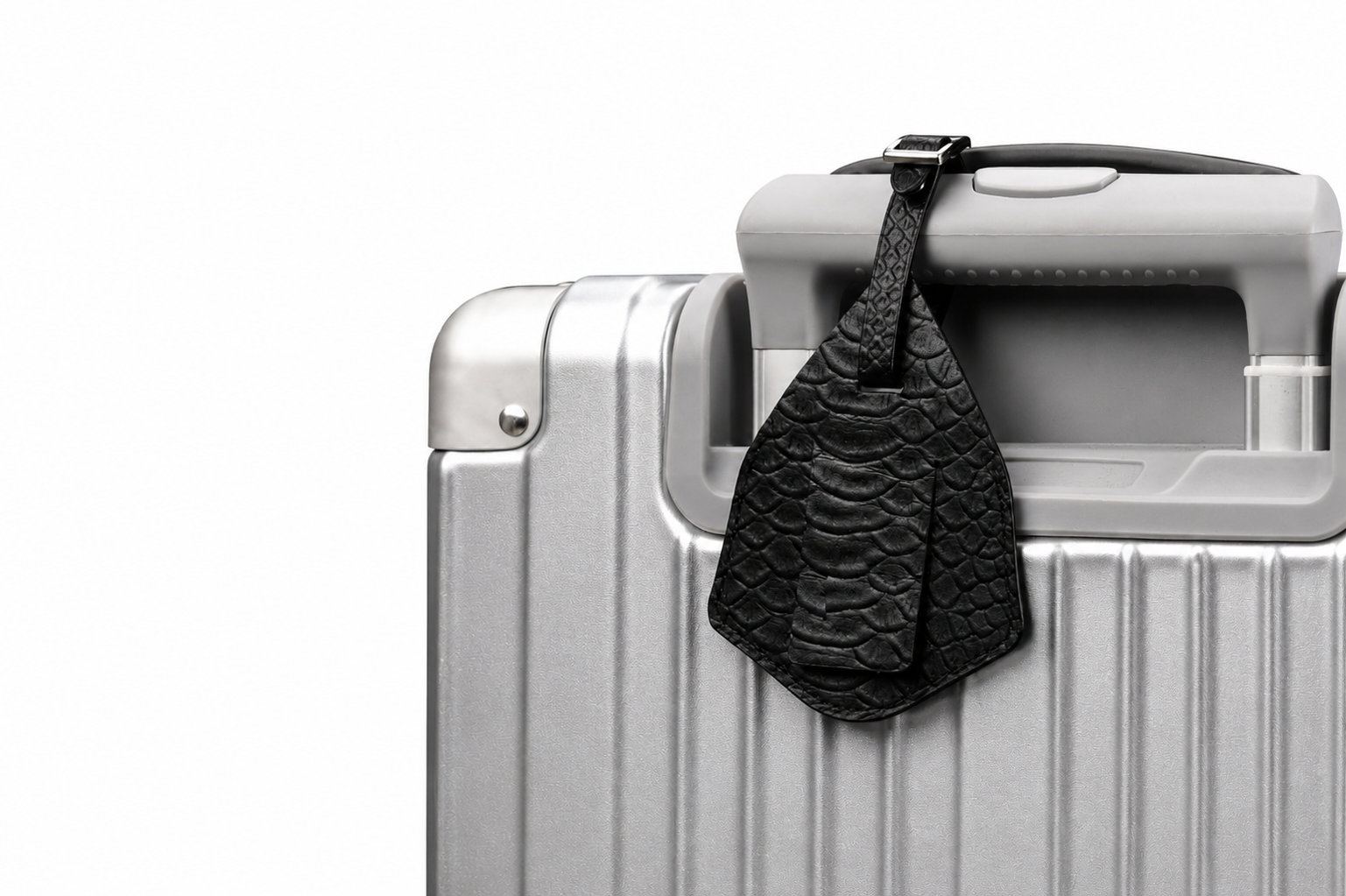 Everest travel luggage tag