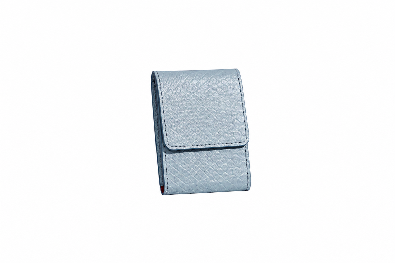 Helen coin pouch